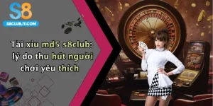 Tài xỉu md5 s8club: lý do thu hút người chơi yêu thích